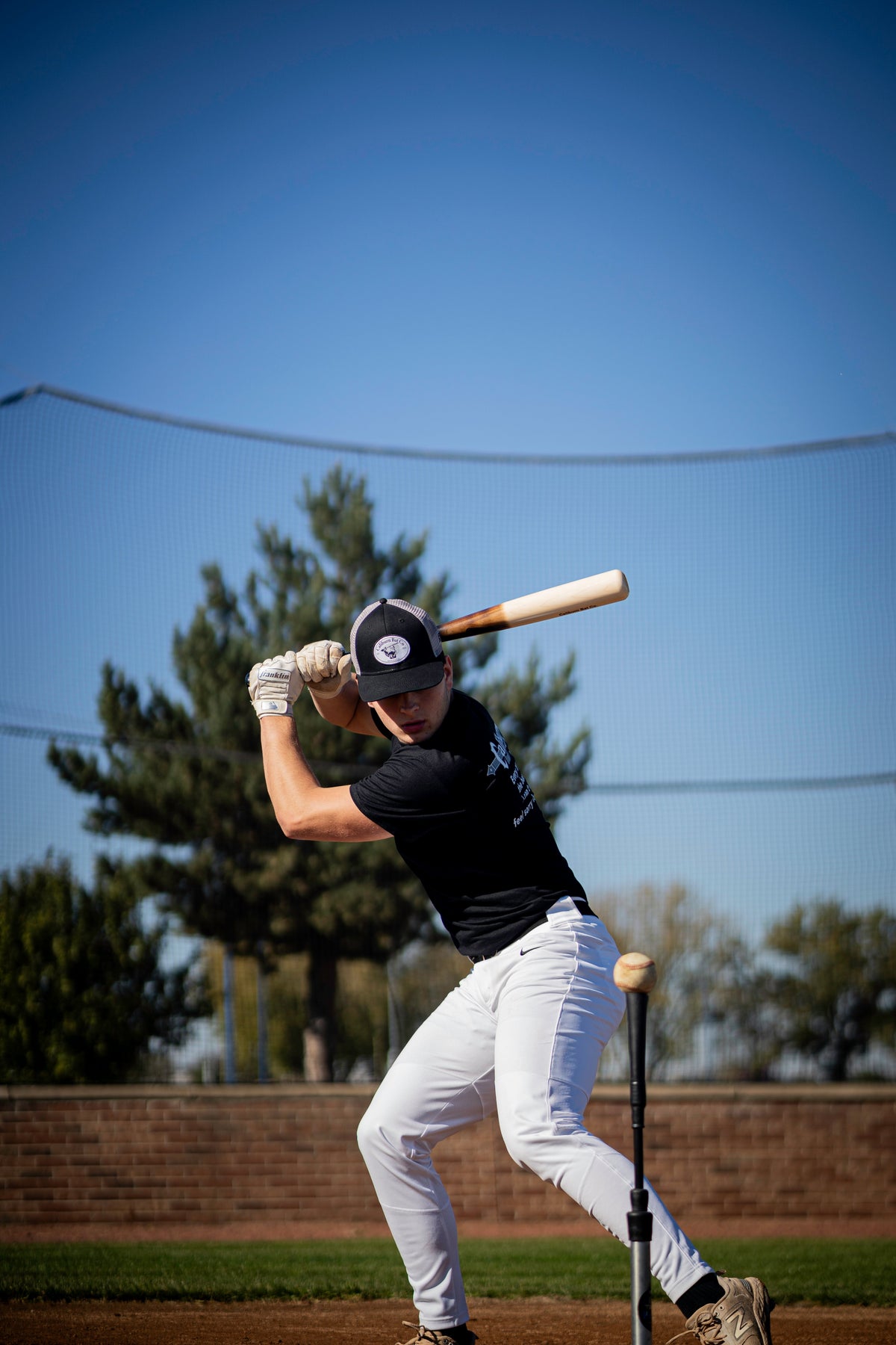 Training Bats