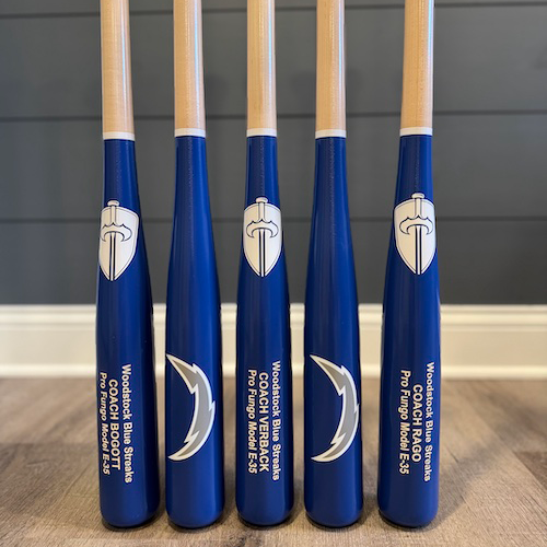 Fungo Bat