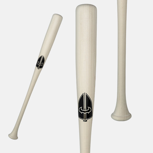 SE Model