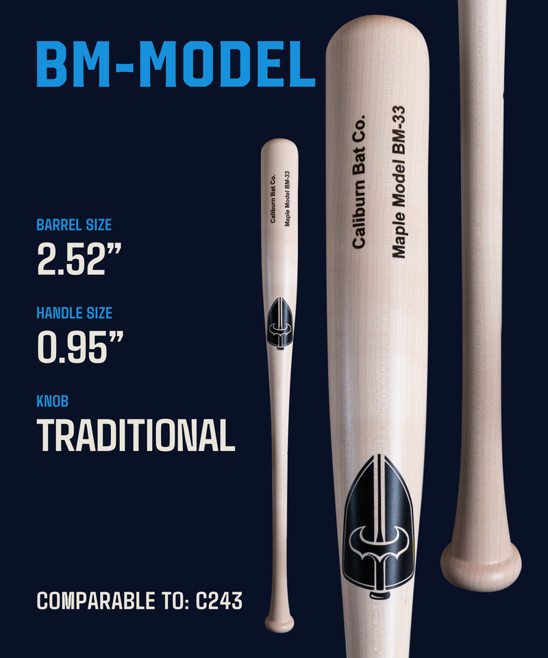 BM Model